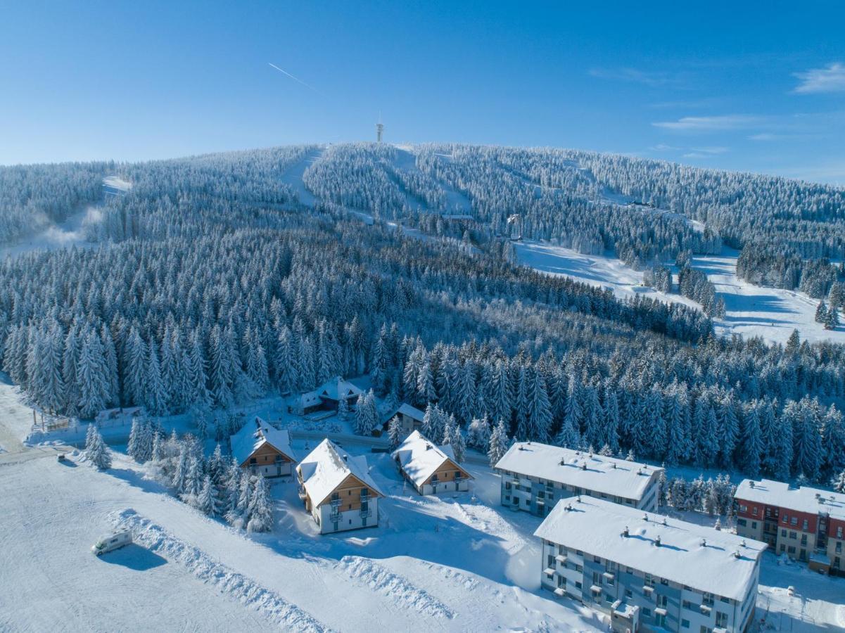 Ski Chalet Klinovec Loučná pod Klínovcem Kültér fotó