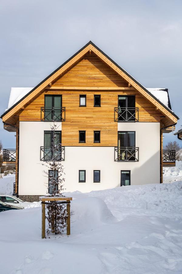Ski Chalet Klinovec Loučná pod Klínovcem Kültér fotó