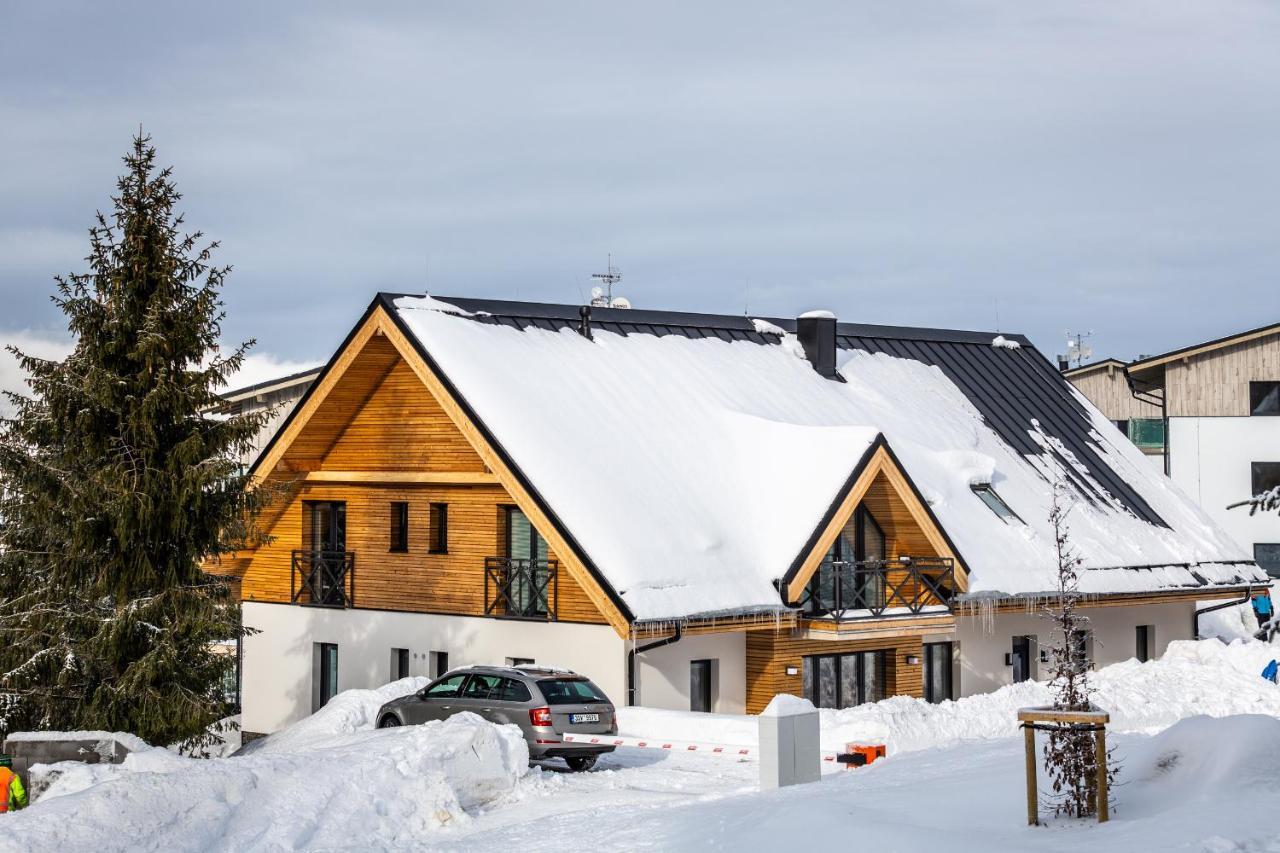 Ski Chalet Klinovec Loučná pod Klínovcem Kültér fotó