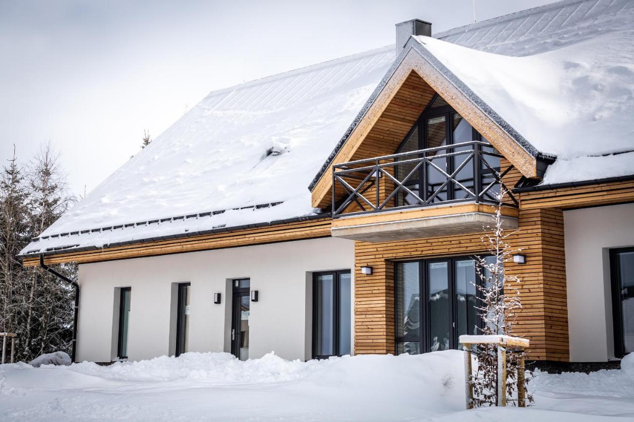 Ski Chalet Klinovec Loučná pod Klínovcem Kültér fotó