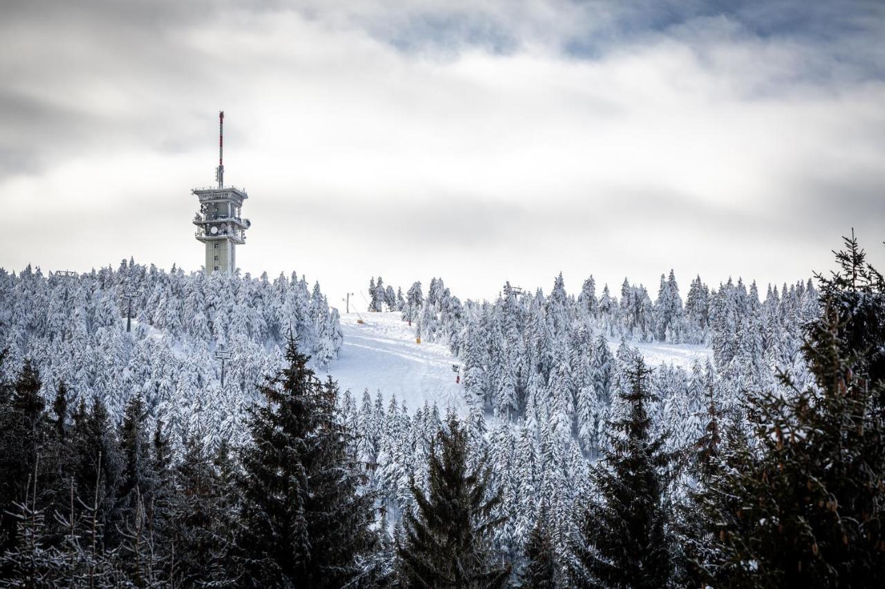 Ski Chalet Klinovec Loučná pod Klínovcem Kültér fotó
