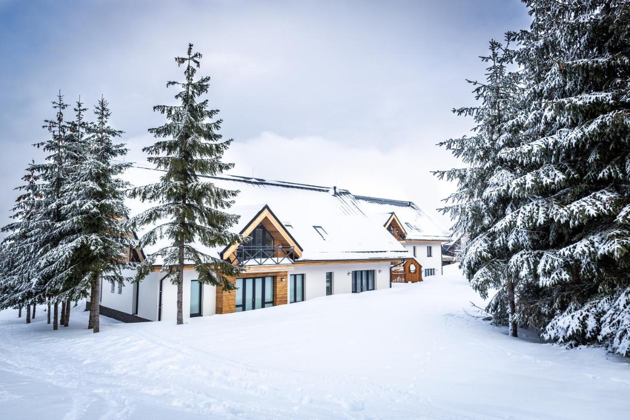 Ski Chalet Klinovec Loučná pod Klínovcem Kültér fotó