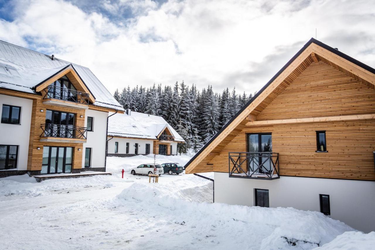 Ski Chalet Klinovec Loučná pod Klínovcem Kültér fotó