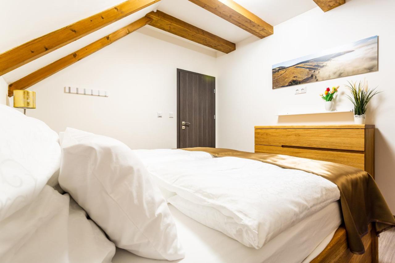 Ski Chalet Klinovec Loučná pod Klínovcem Kültér fotó